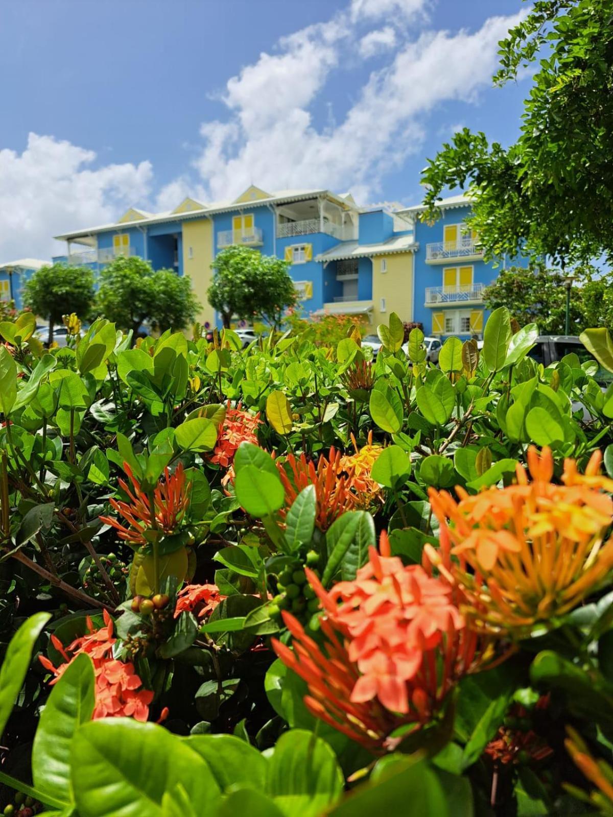 Ste Luce, N° 11 Appart -300M Plage De Mabouyas Corps de Garde Exterior foto