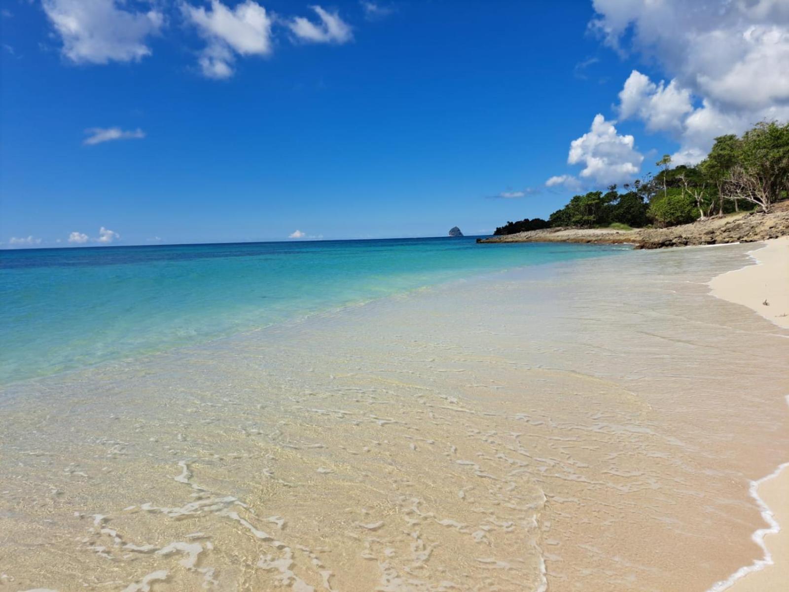 Ste Luce, N° 11 Appart -300M Plage De Mabouyas Corps de Garde Exterior foto